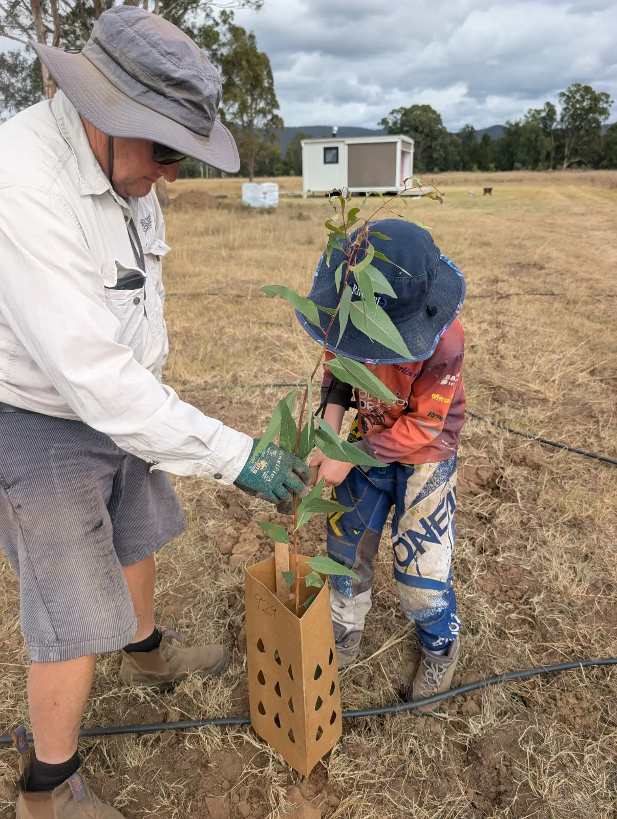 Max helping a child plant a eucalypt seedling