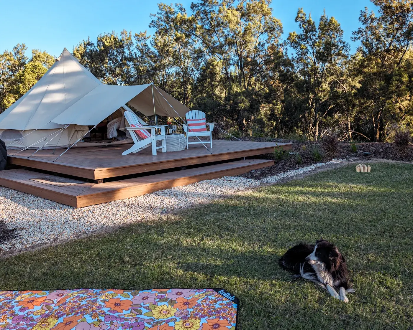 The tent on its deck in late sun with Bella the border collie lying on the lawn