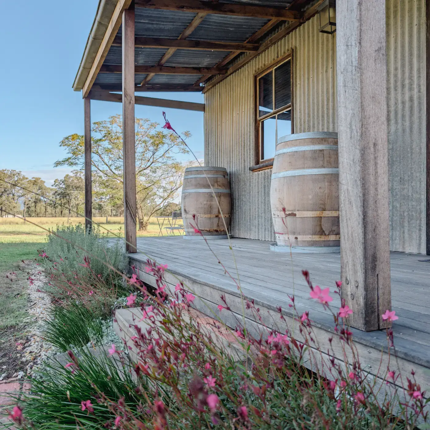 The Cottage verandah from the garden, wine barrels and wildflowers in late sun