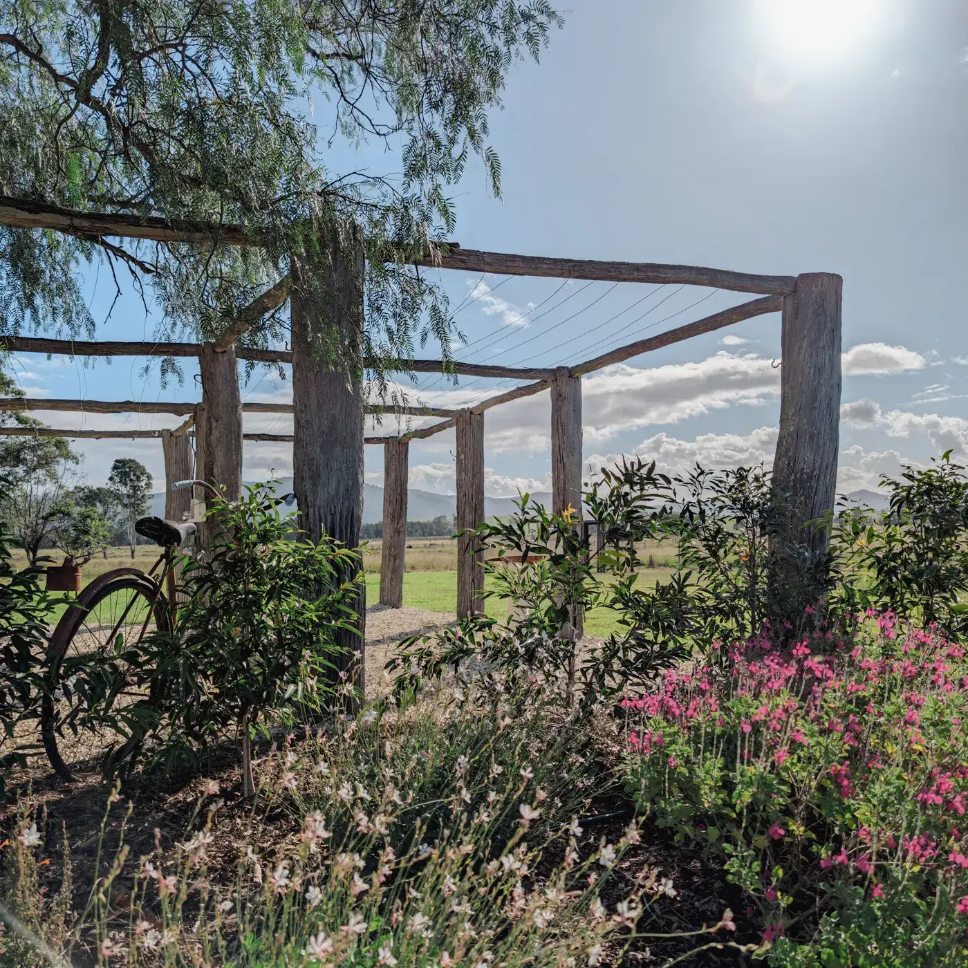 The pergola beside the Cottage with bikes, wildflowers and paddocks past it