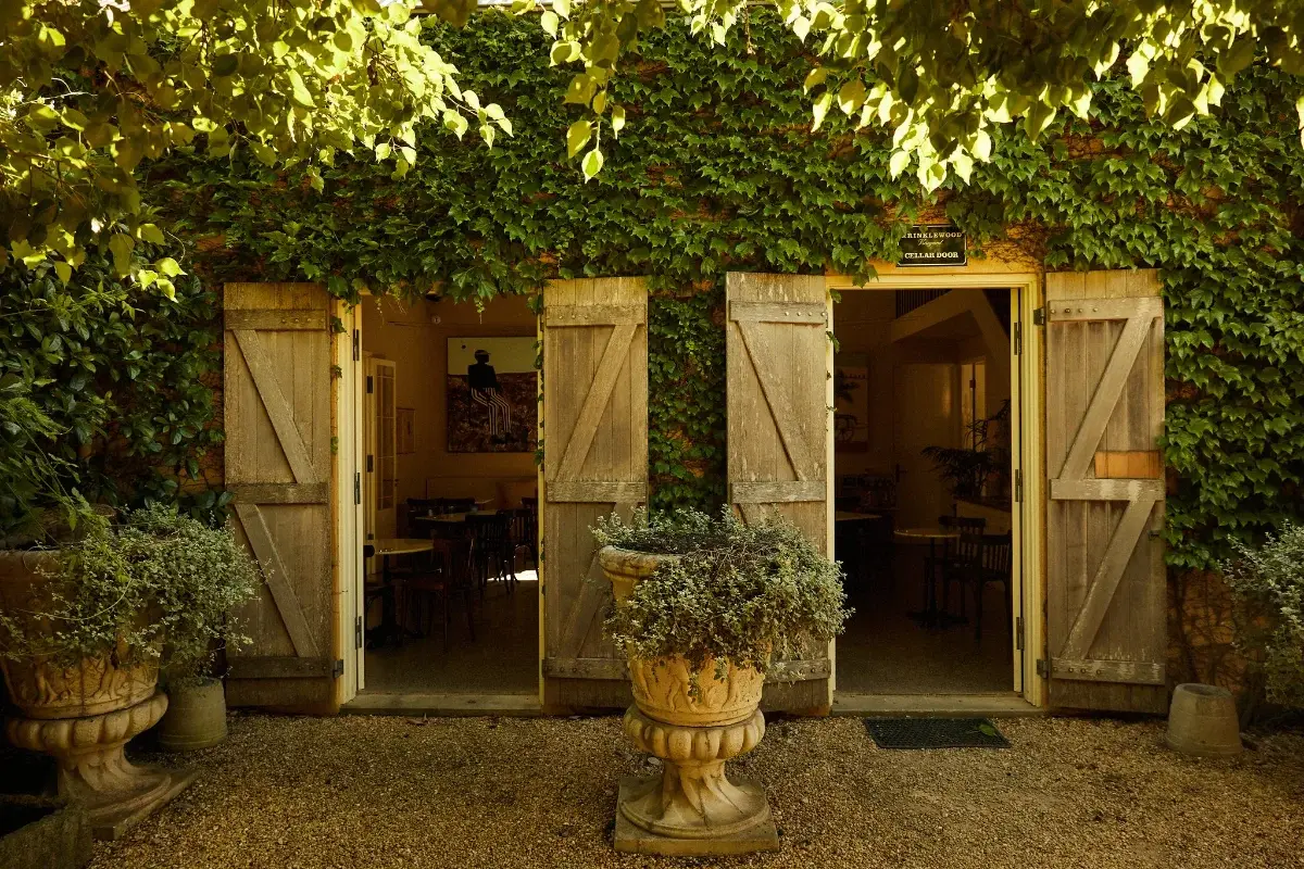 The ivy-covered cellar door at Krinklewood, Broke, with timber shutters open