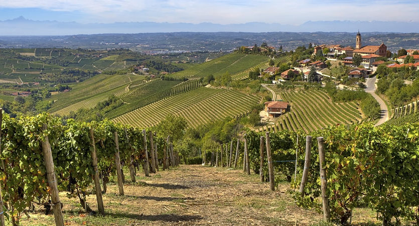 First blog post, a bit about Barbera – one of the most underrated wines