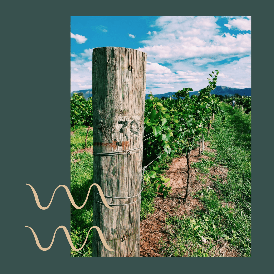 Buy Broke Estate Wine